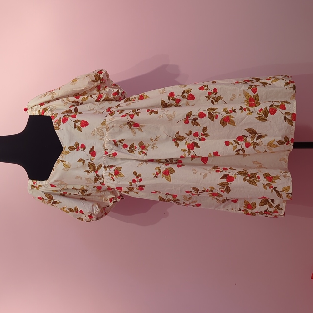 Old Navy Floral Mini Dress - Cream and Red